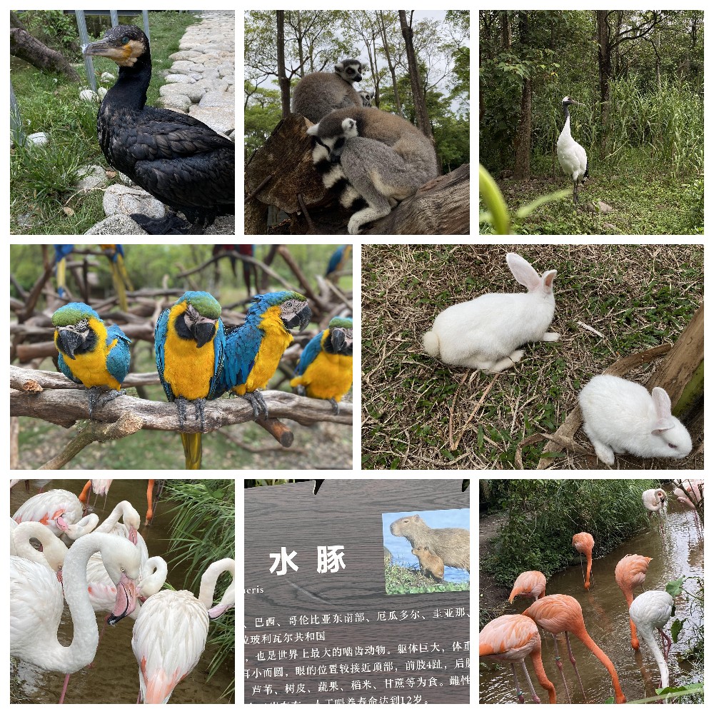 厚積薄發(fā)，蓄力前行：大手牽小手，共圓實佳夢